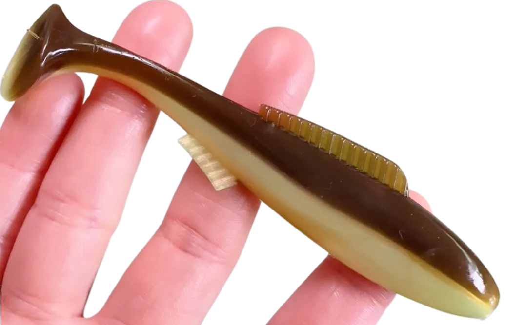 4" Queen Cocahoe Minnow (10-pack)