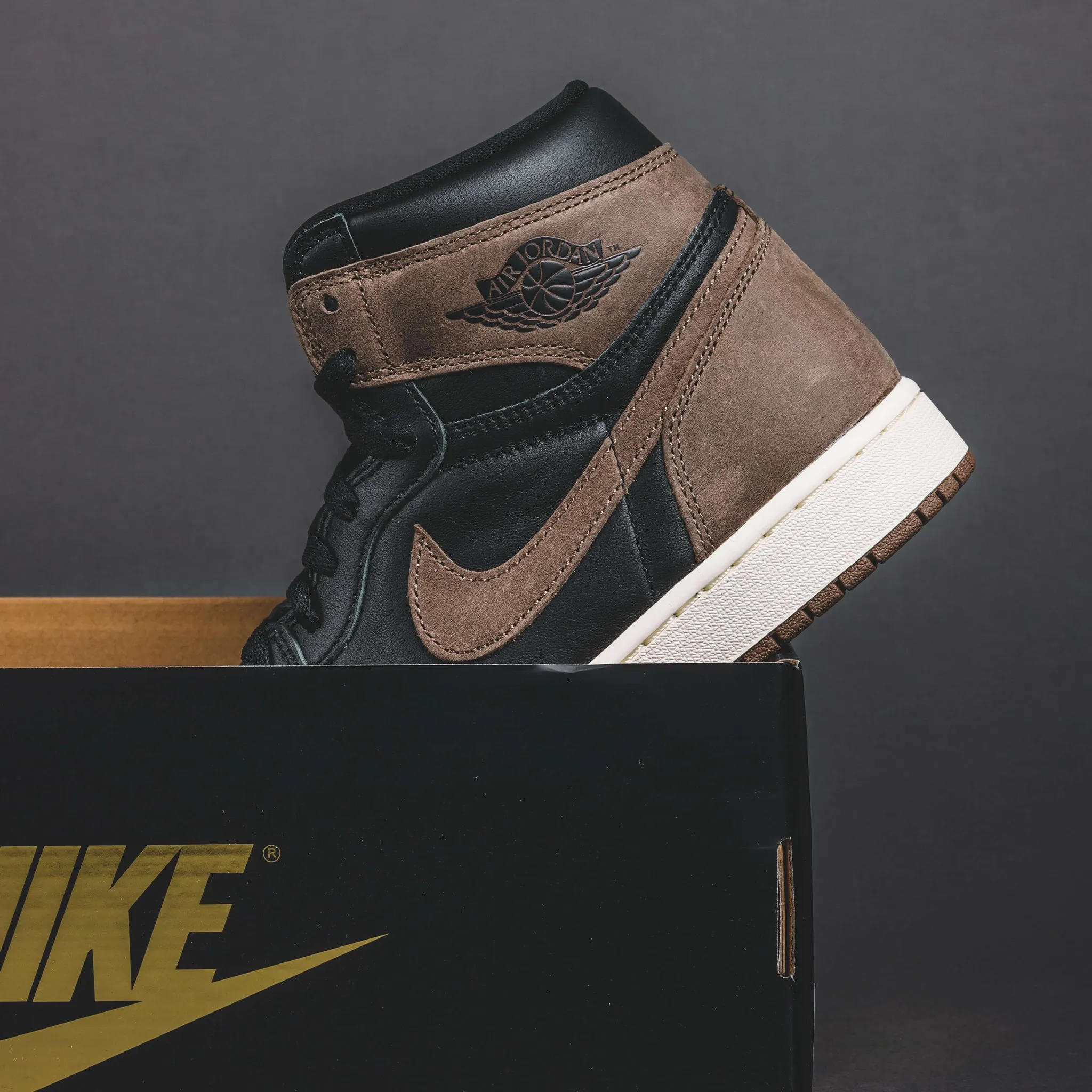 Jordan 1 Retro High OG Palomino